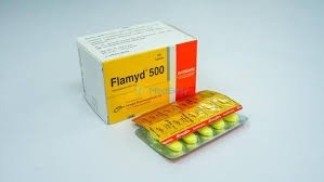Flamyd 500 mg Tablet