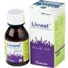 Livwel Syrup 100ml