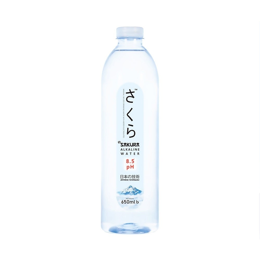 ALKALINE WATER 650 ML